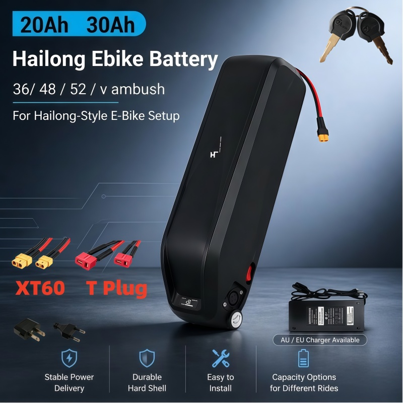 Versatile Hailong Battery, Mul - Ebike Battery 48V 20Ah Hailong review and price